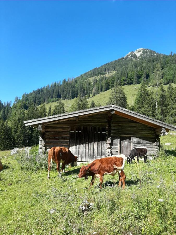 Appartement Gaestehaus Kurz *